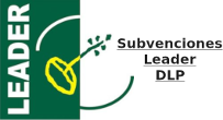 Suvenciones Leader DLP